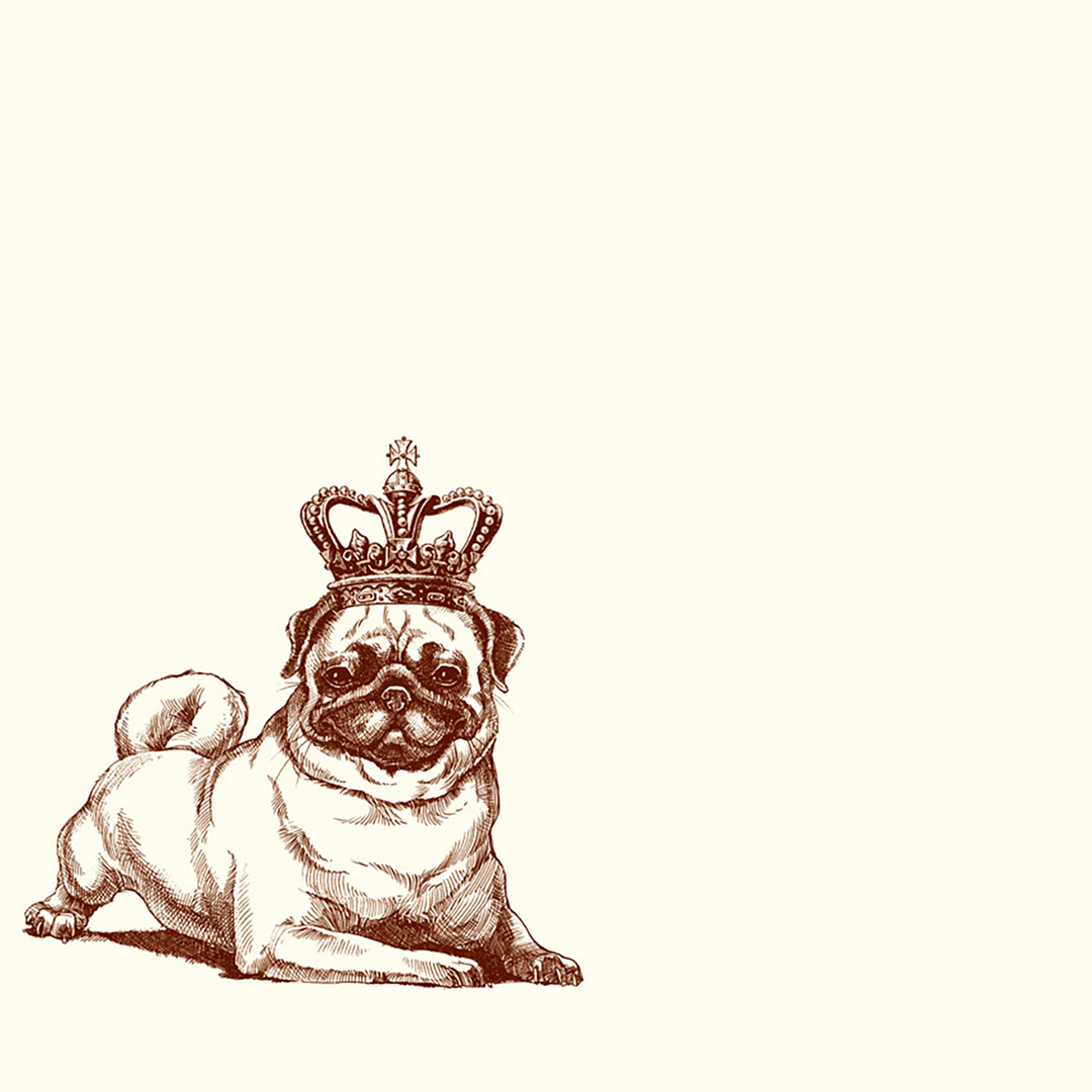 Royal Pug A6 Notes