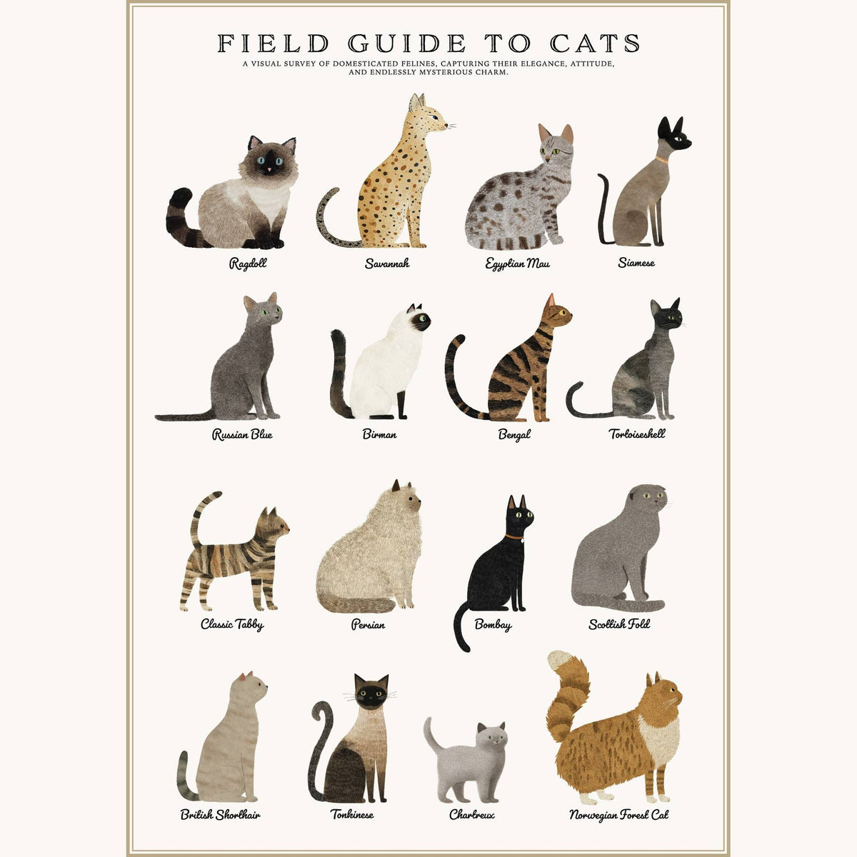 Cats Puzzle – 500 Pc Tube with Vintage Illustrations