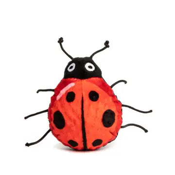 Ladybug Ball Dog Toy