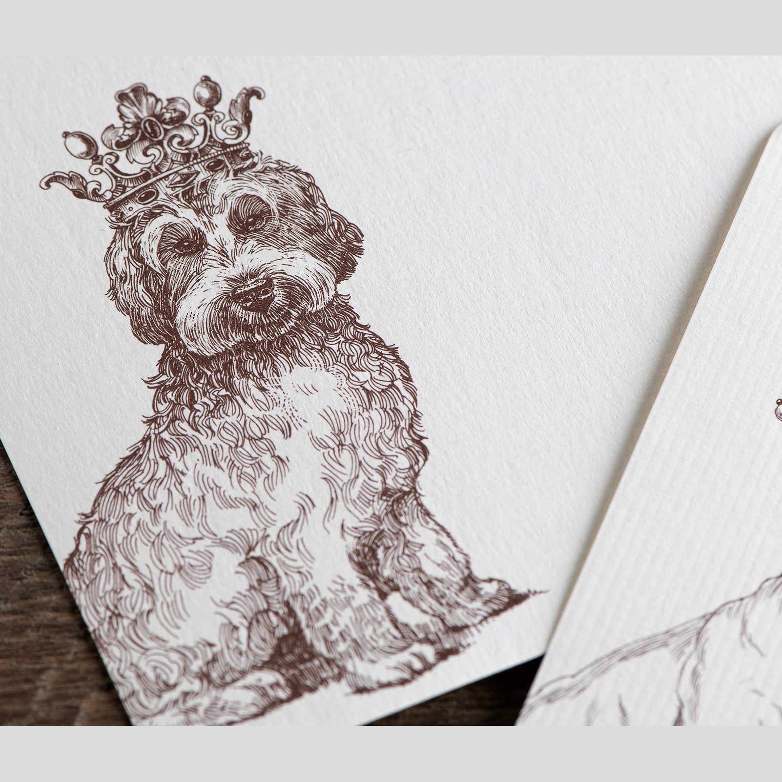 Royal Labradoodle A6 Notes