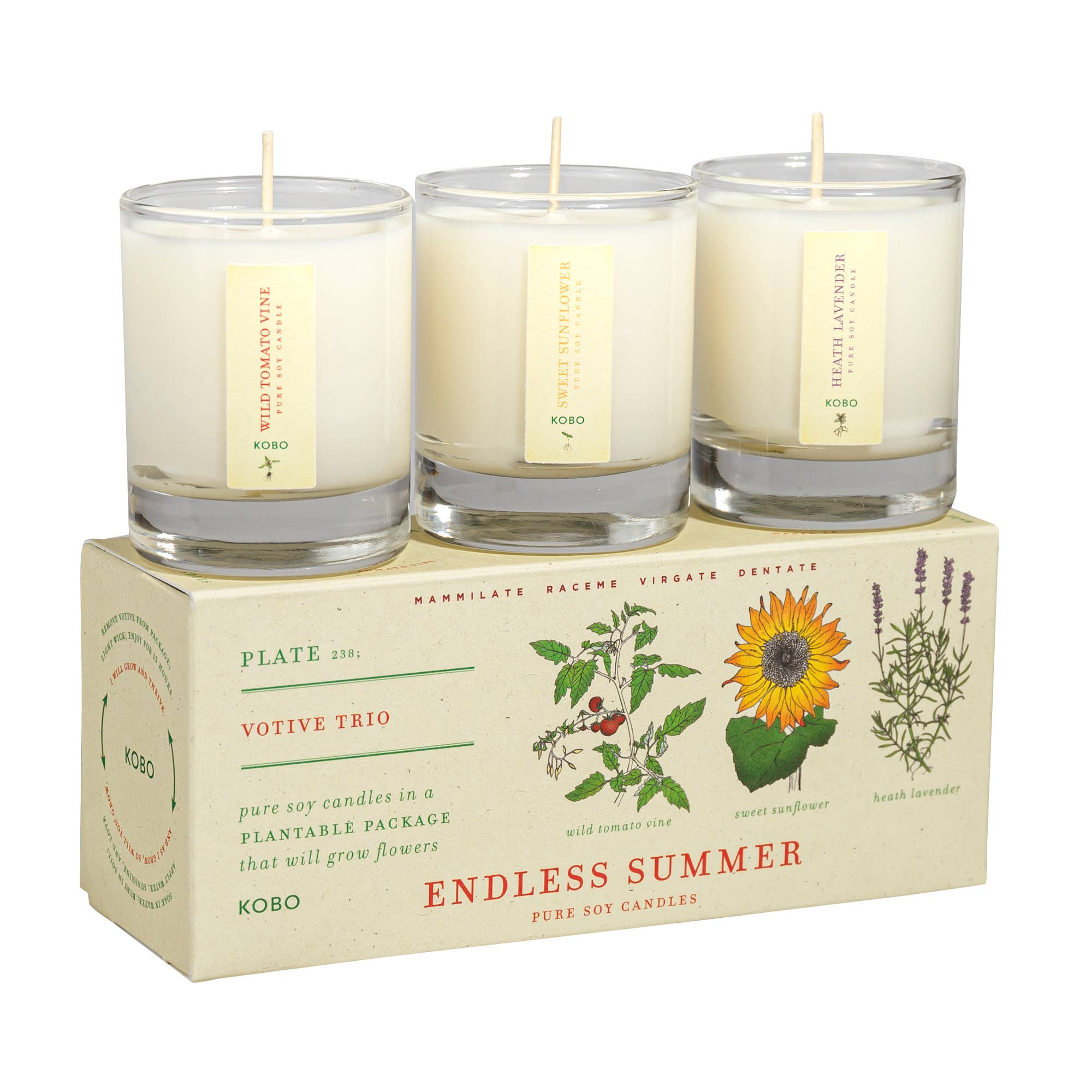 Plant the Box Votive Candle Trio