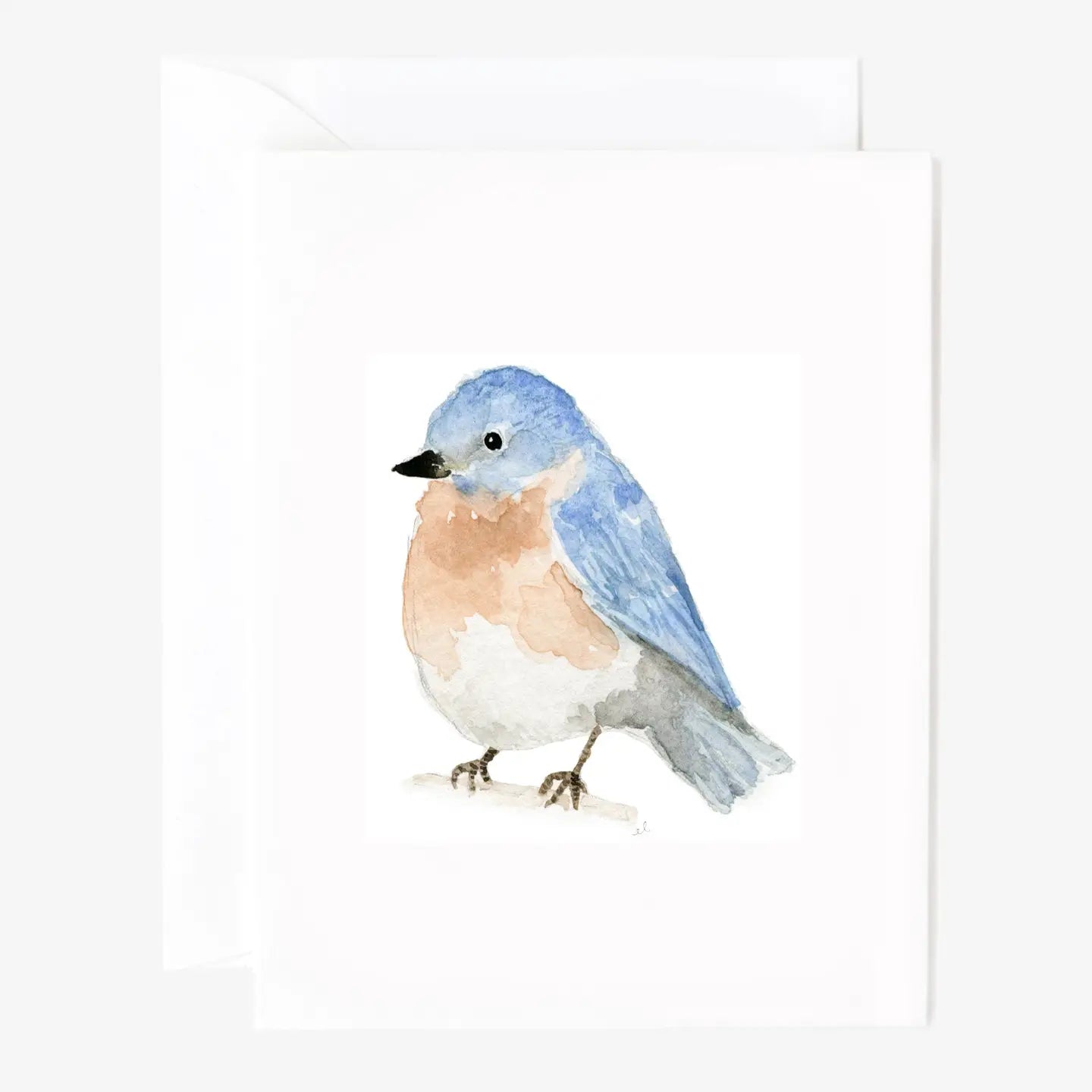 Set of 8 Bird Notecards