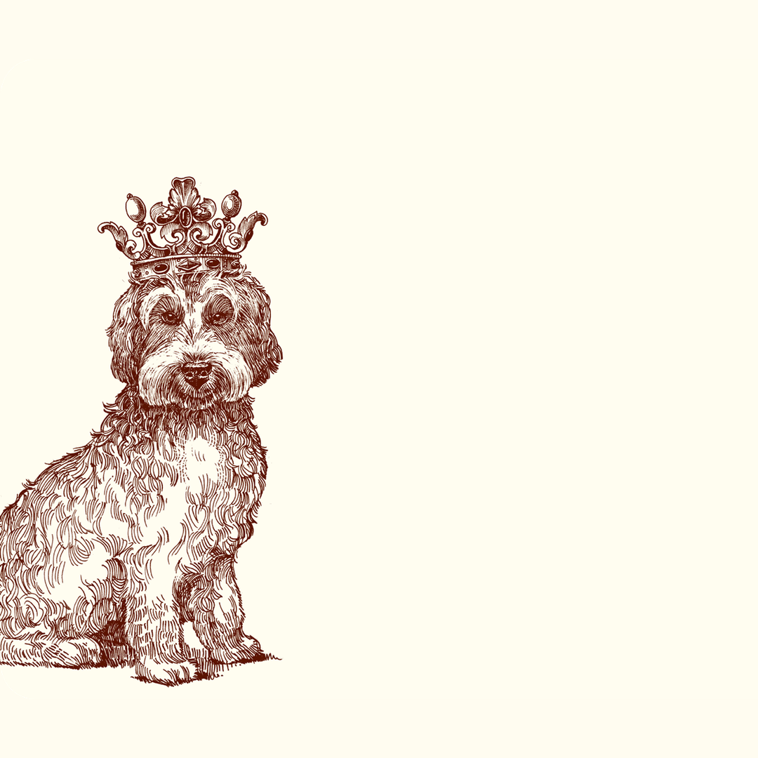 Royal Labradoodle A6 Notes