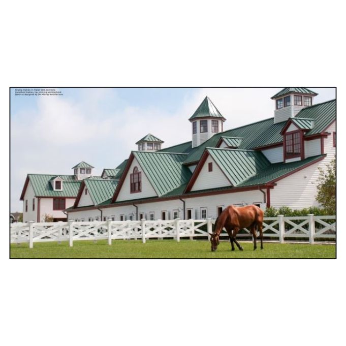 Equestrian Life in the Hamptons Book by Blue Carreon