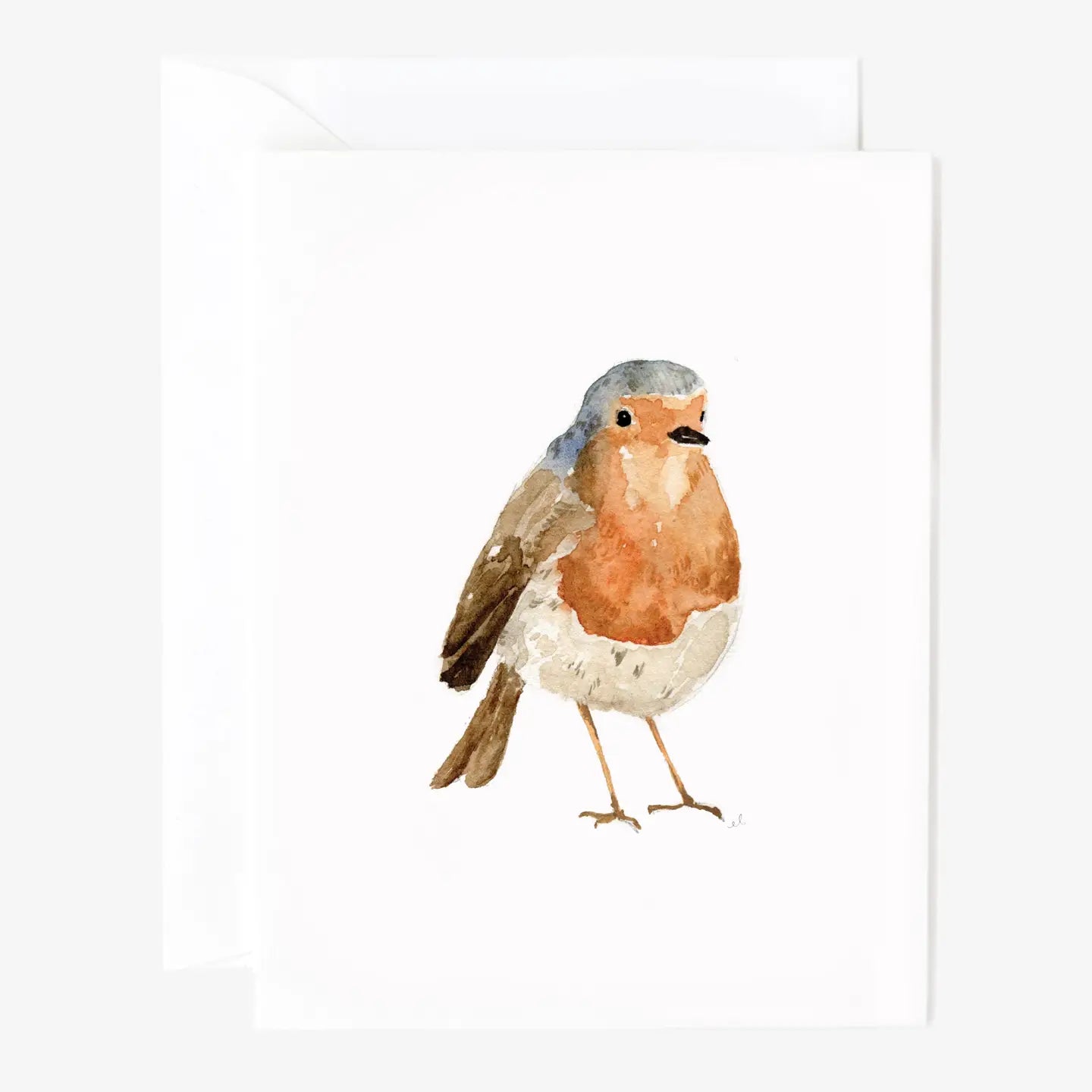 Set of 8 Bird Notecards