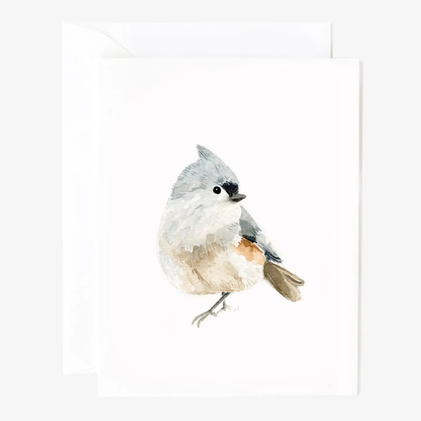 Set of 8 Bird Notecards