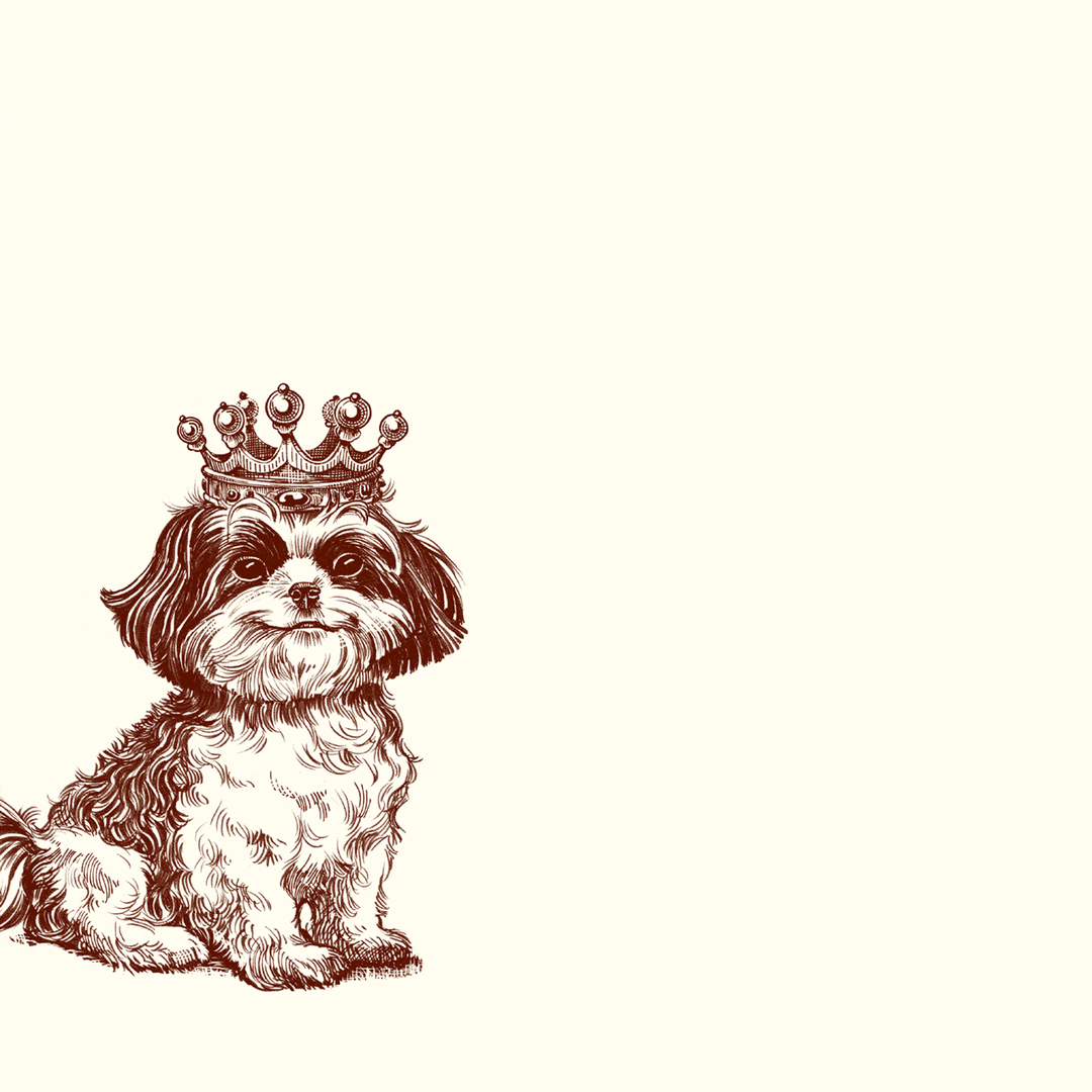 Royal Shih Tzu A6 Notes