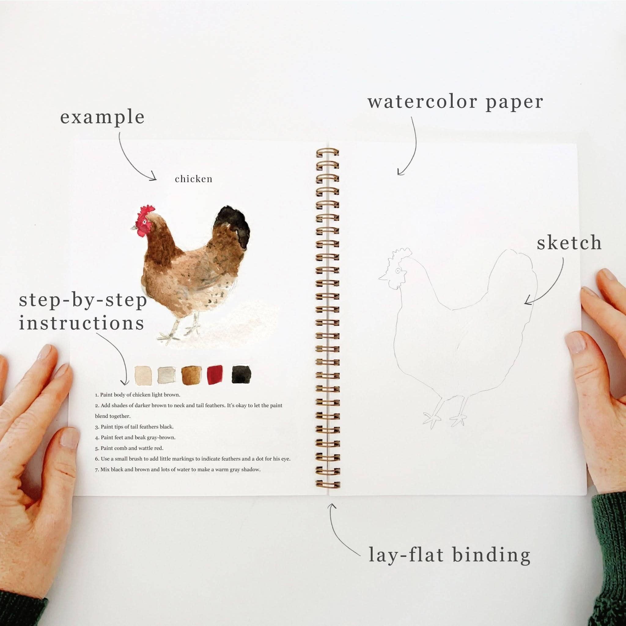 Animals watercolor workbook