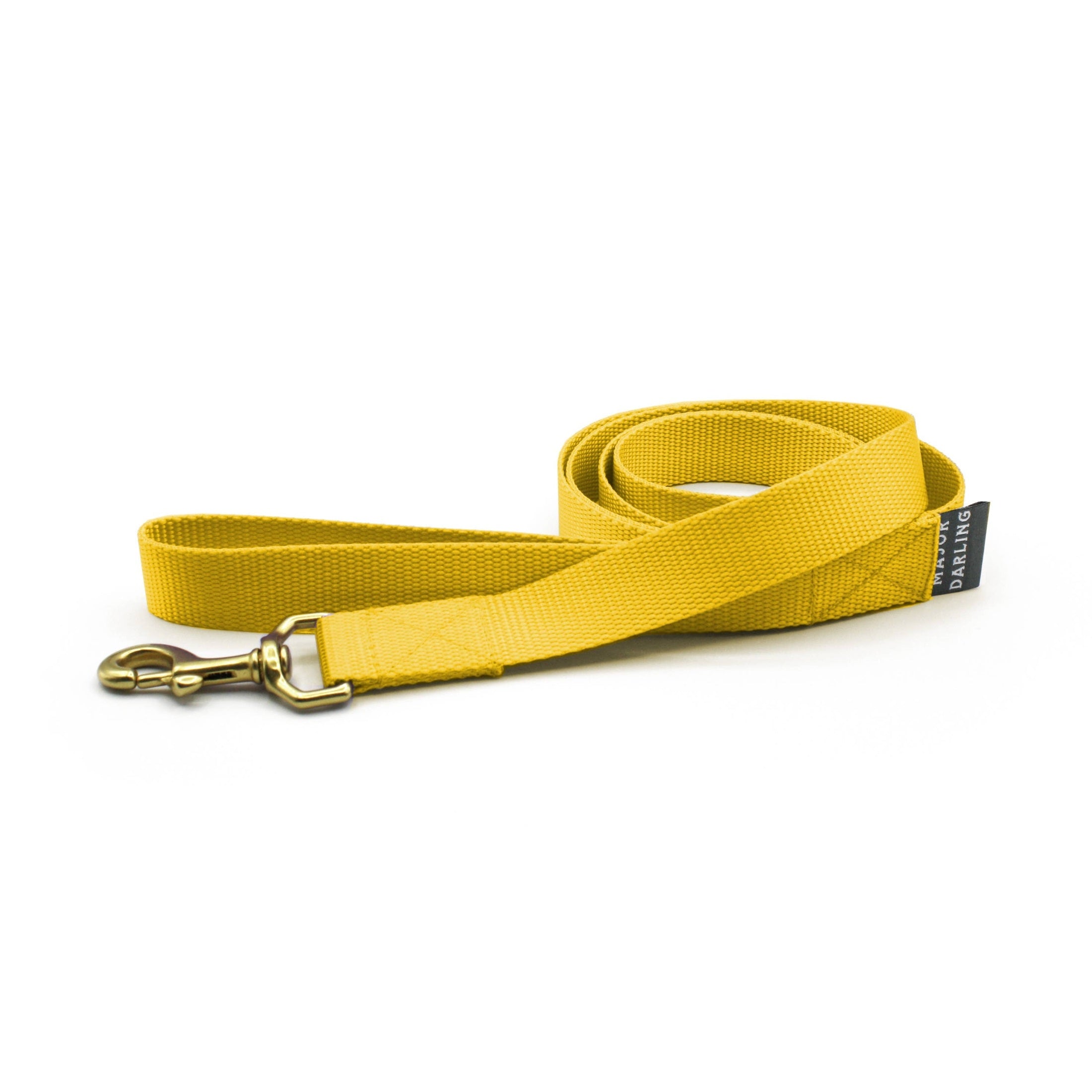 Basic Leash