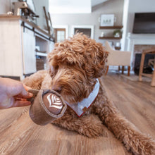 Load image into Gallery viewer, LATTE POP // ENRICHMENT DOG TOY // Squeaky Ball
