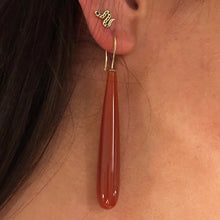 Load image into Gallery viewer, The Invisibles - Red Agate Earrings

