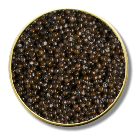 Altima Caviar - Siberian