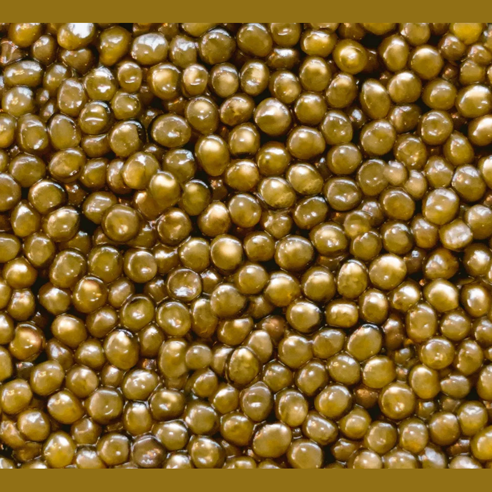 Altima Caviar - Amber Oscietra