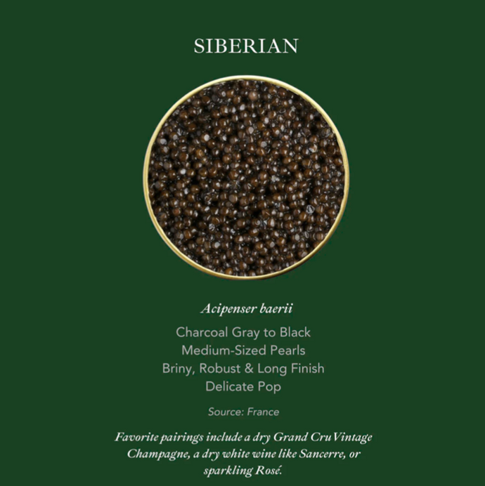 Altima Caviar - Siberian