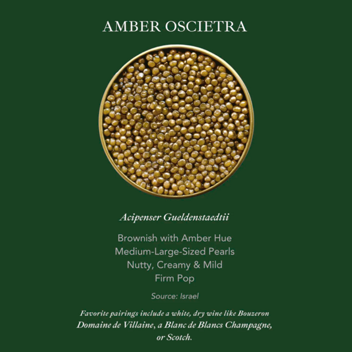 Altima Caviar - Amber Oscietra