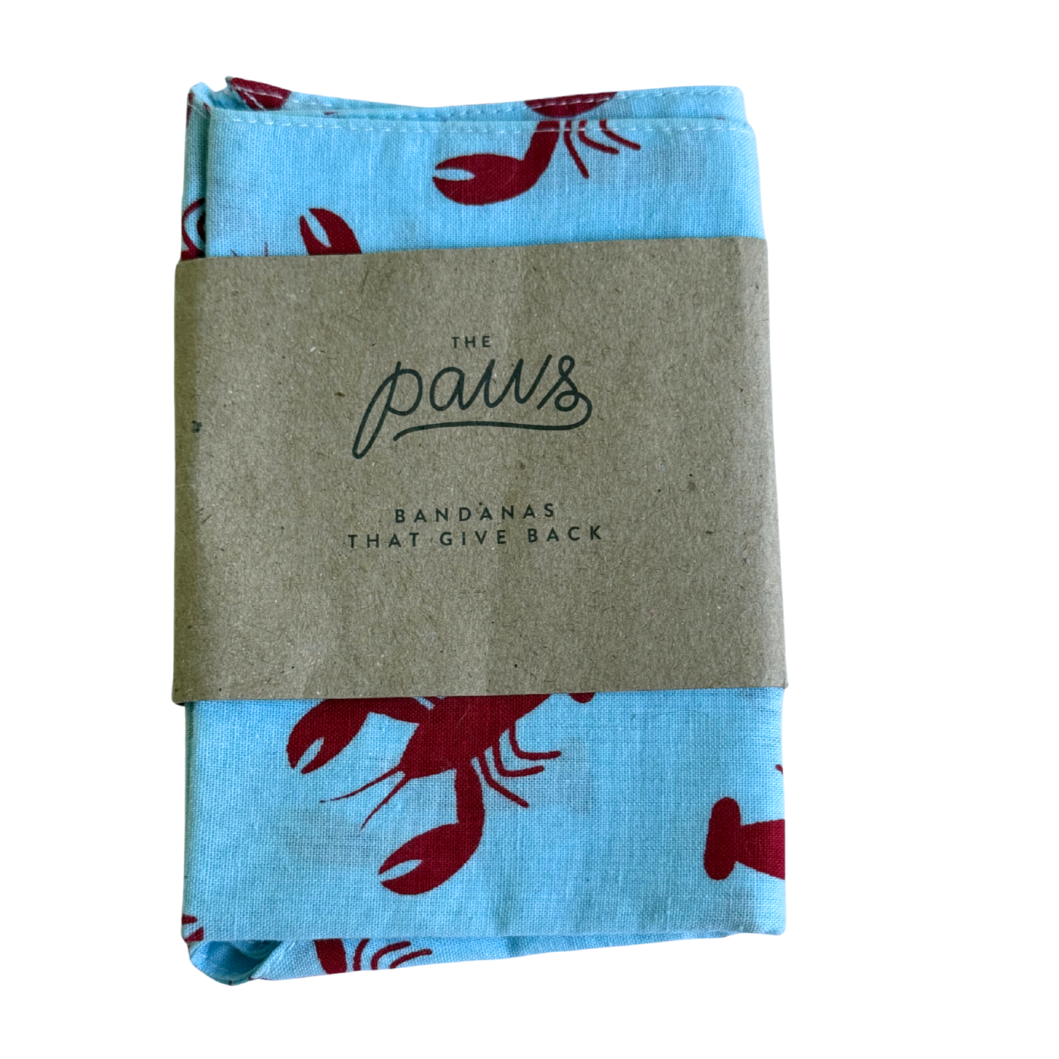 The Paws Dog Bandanas