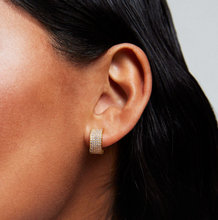Load image into Gallery viewer, Dean Davidson - Petit Pave Thick Huggie Hoops
