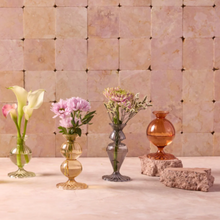 Load image into Gallery viewer, Be Home - Nalia Budvase, Parakeet
