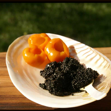 Load image into Gallery viewer, Be Home - Seashell Footed Dish
