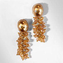 Load image into Gallery viewer, Deepa Gurnani -  Jemsa Earrings
