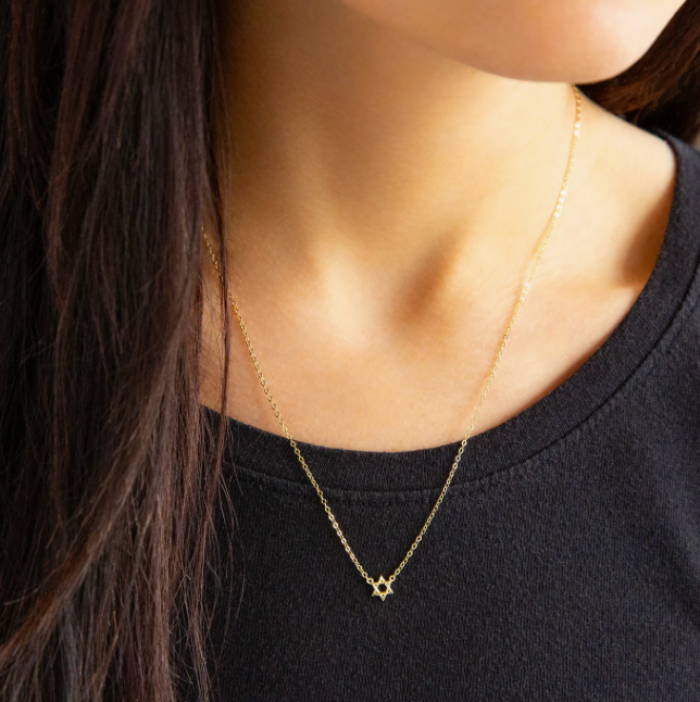Mini Star of David Necklace