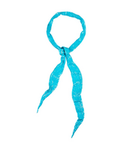 Load image into Gallery viewer, Deepa Gurnani - Veronique Sequin Skinny Scarf
