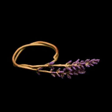 Michael Michaud Table Art - Lavender Napkin Rings Set of 4