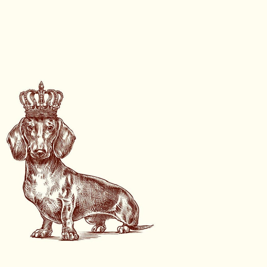 Royal Dachshund A6 Notes