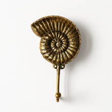 Load image into Gallery viewer, Brass Ammonite Fossil Wall Hook – Coastal Shell Hook, Beach House Bathroom Towel Hanger
