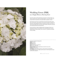 Load image into Gallery viewer, Hydrangeas: Beautiful Varieties for Home &amp; Garden
