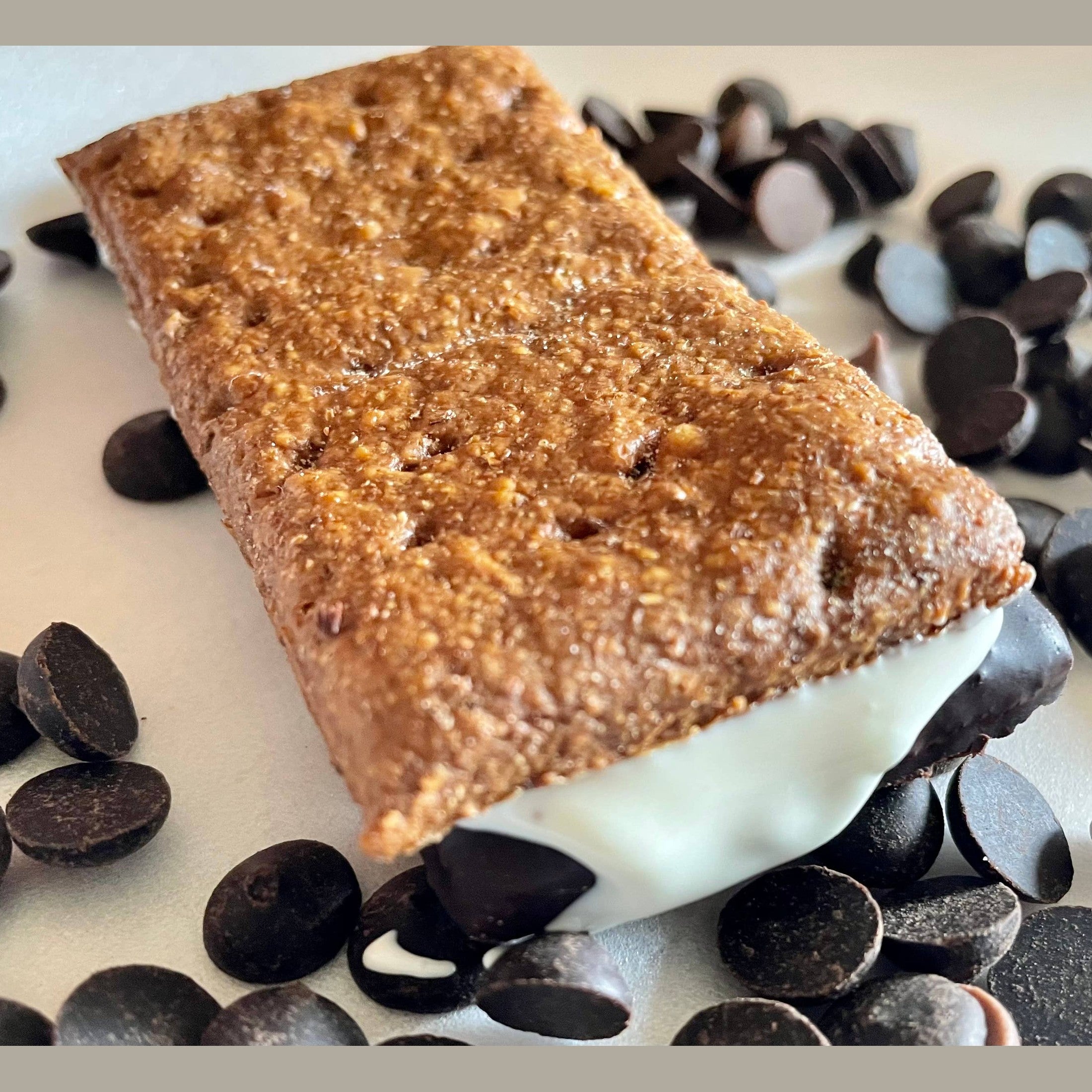 Campfire S’mores dog treats