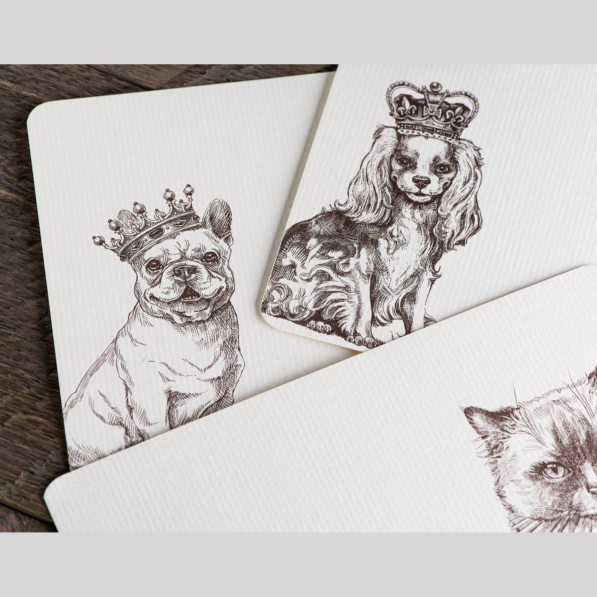 Royal Border Collie A6 Notes