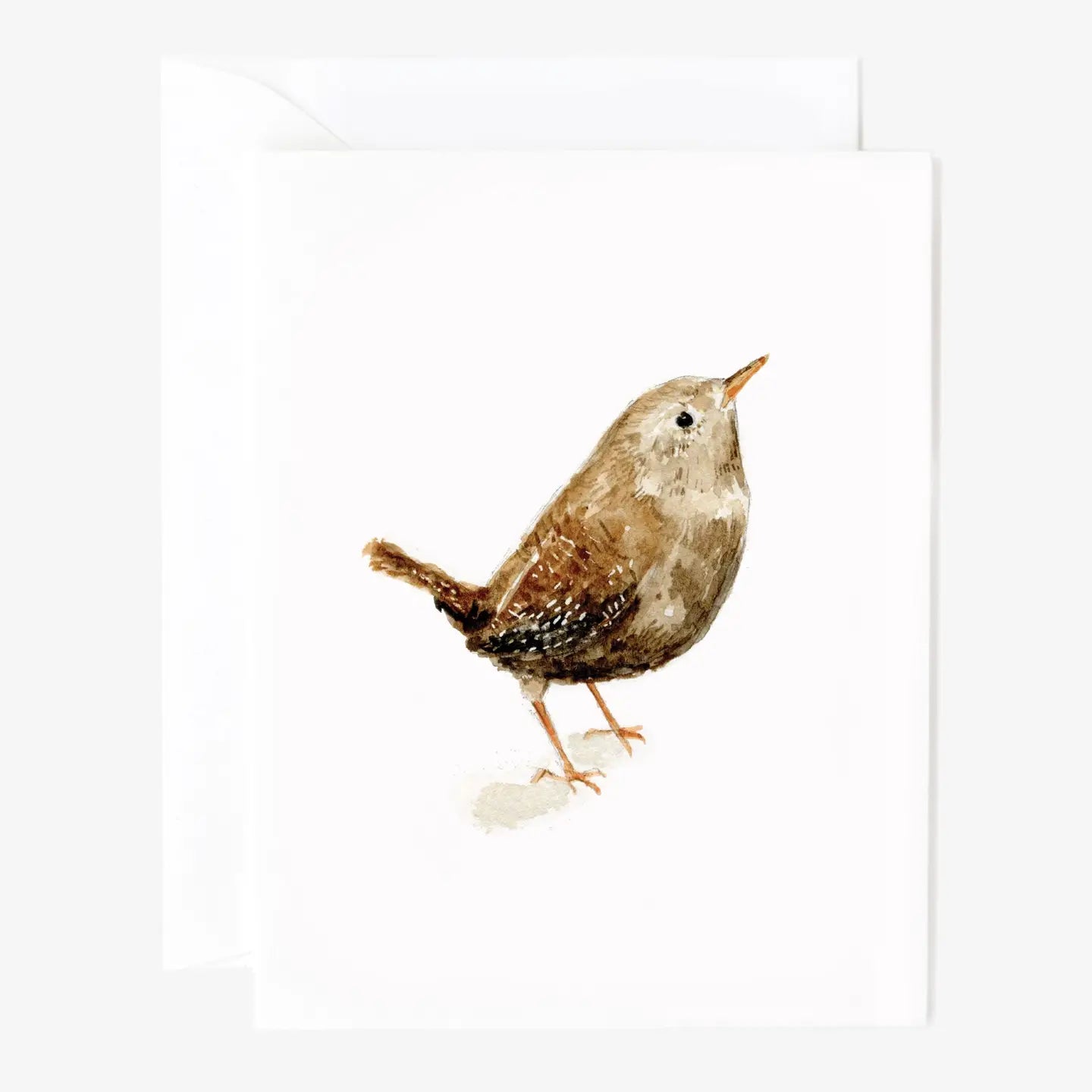 Set of 8 Bird Notecards