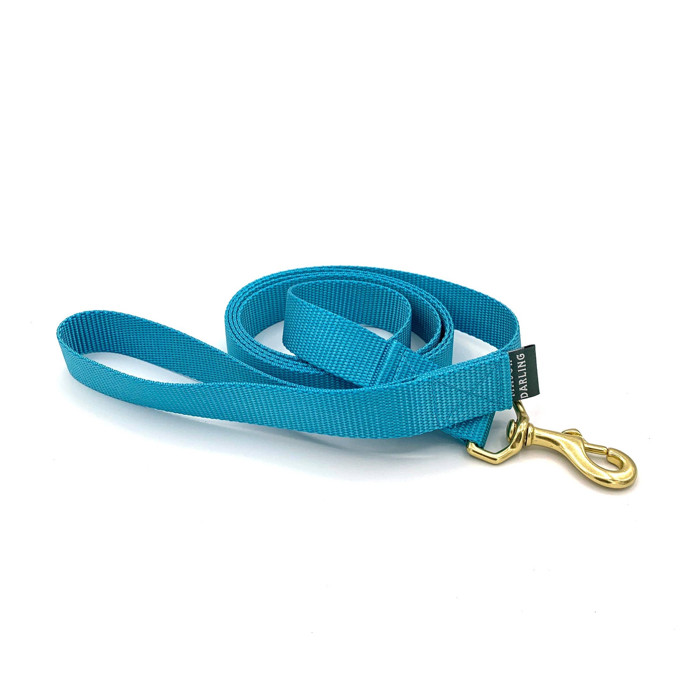 Basic Leash