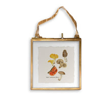 Load image into Gallery viewer, Mixed Mushrooms with Location
