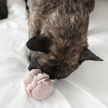 Load image into Gallery viewer, PETITE TWO // ENRICHMENT DOG TOY // snuffle + burrow Set
