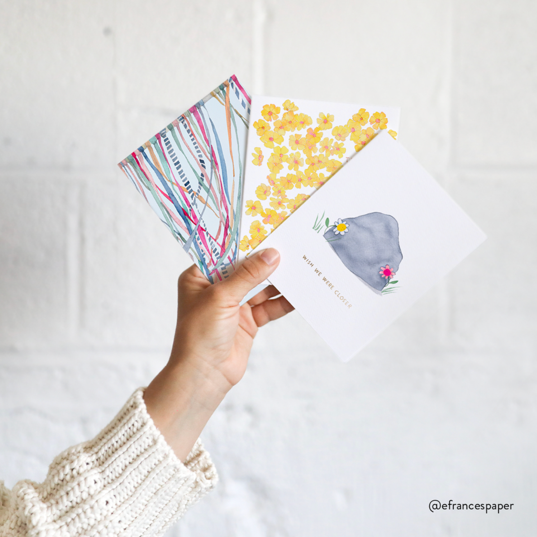 Pet Collar Greeting Card