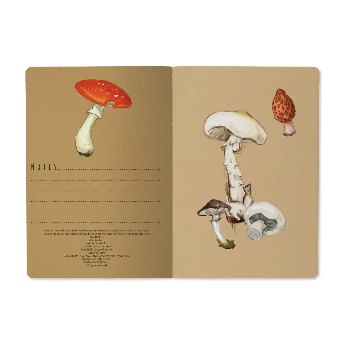 BV Notebook Mushrooms on White