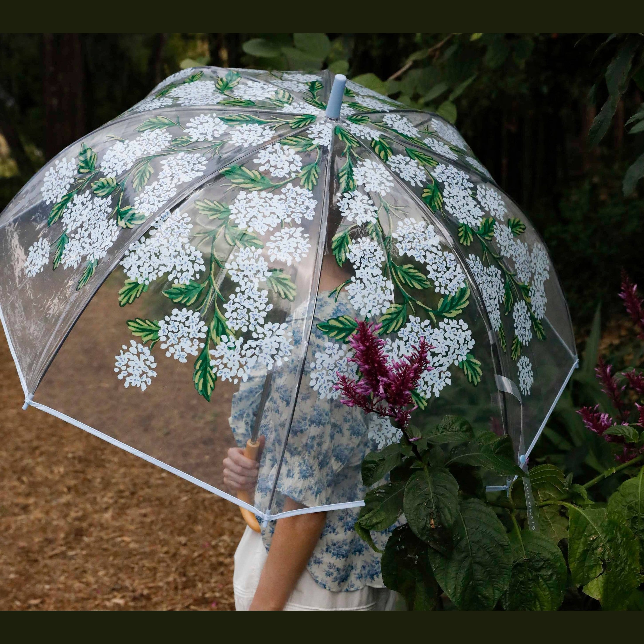 Hydrangea Clear Umbrella