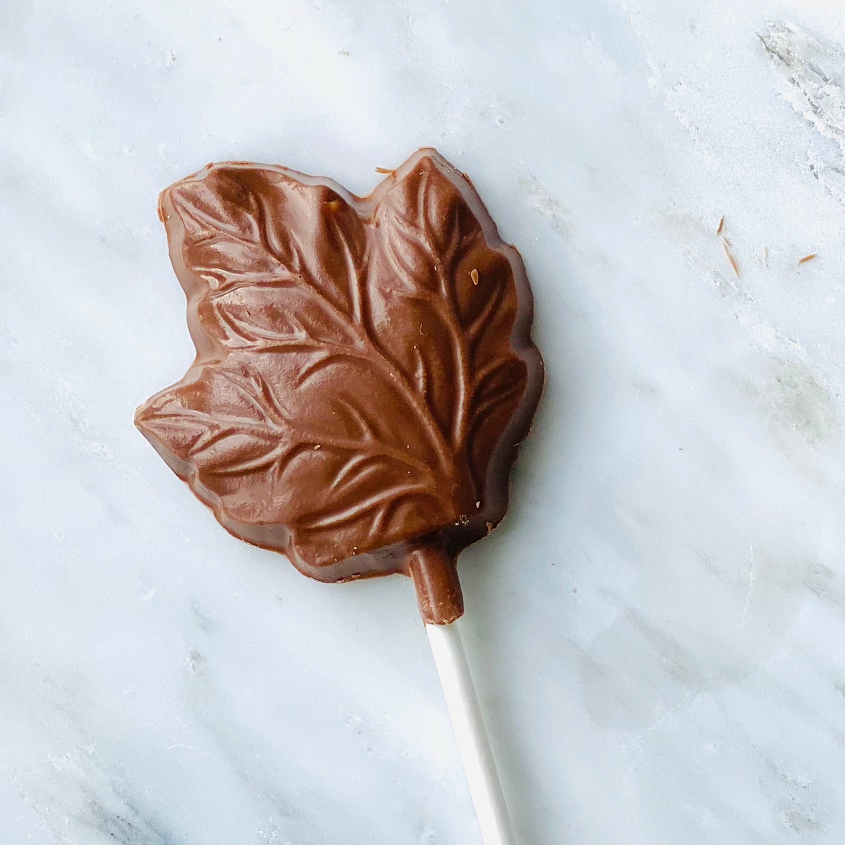 Leaf Chocolate Lollipop 24ct