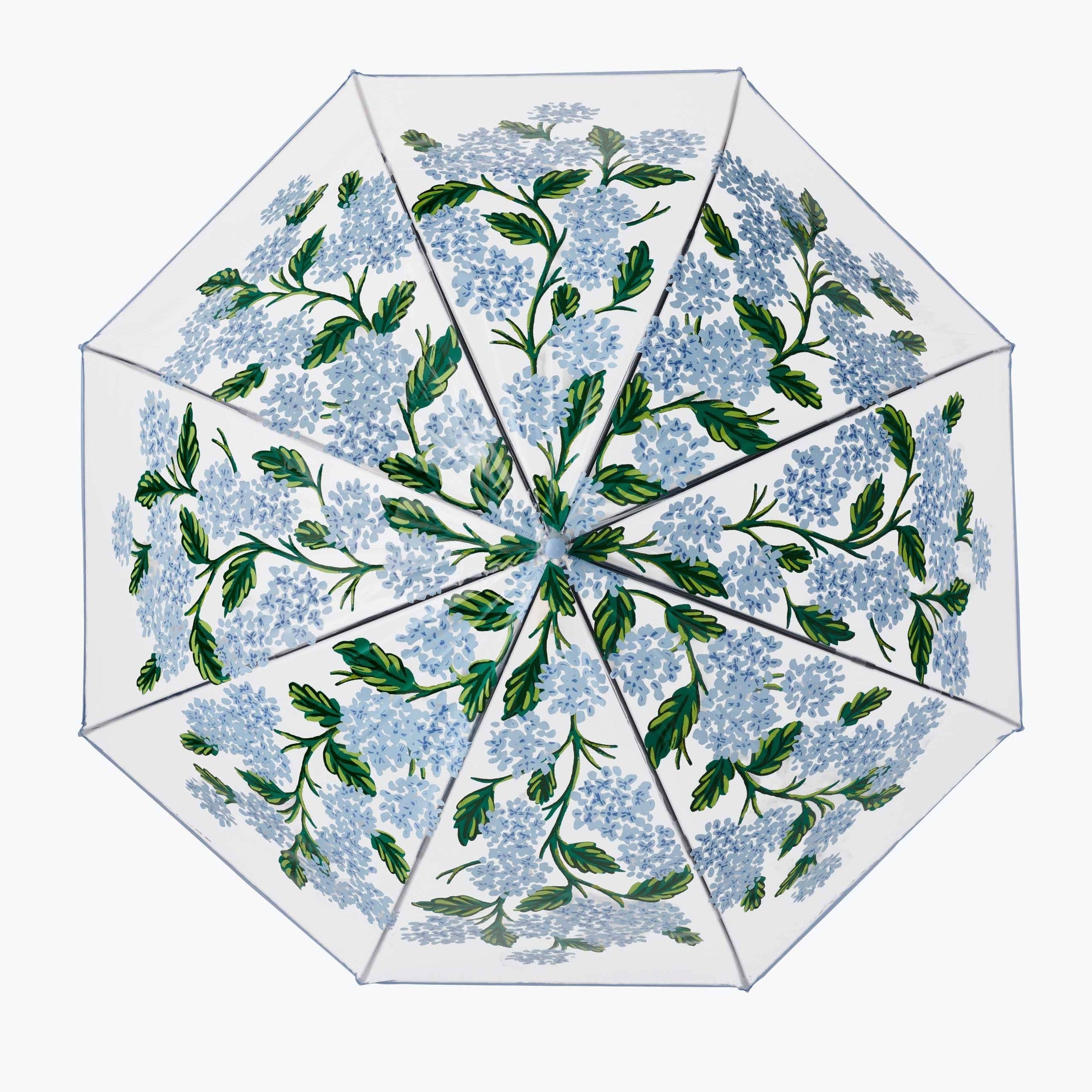 Hydrangea Clear Umbrella