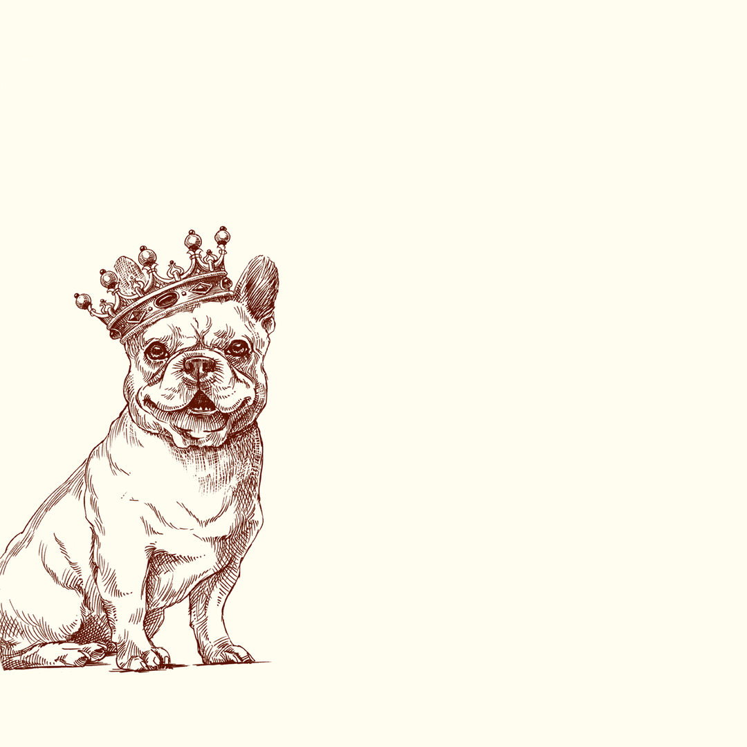 Royal French Bulldog A6 Notes