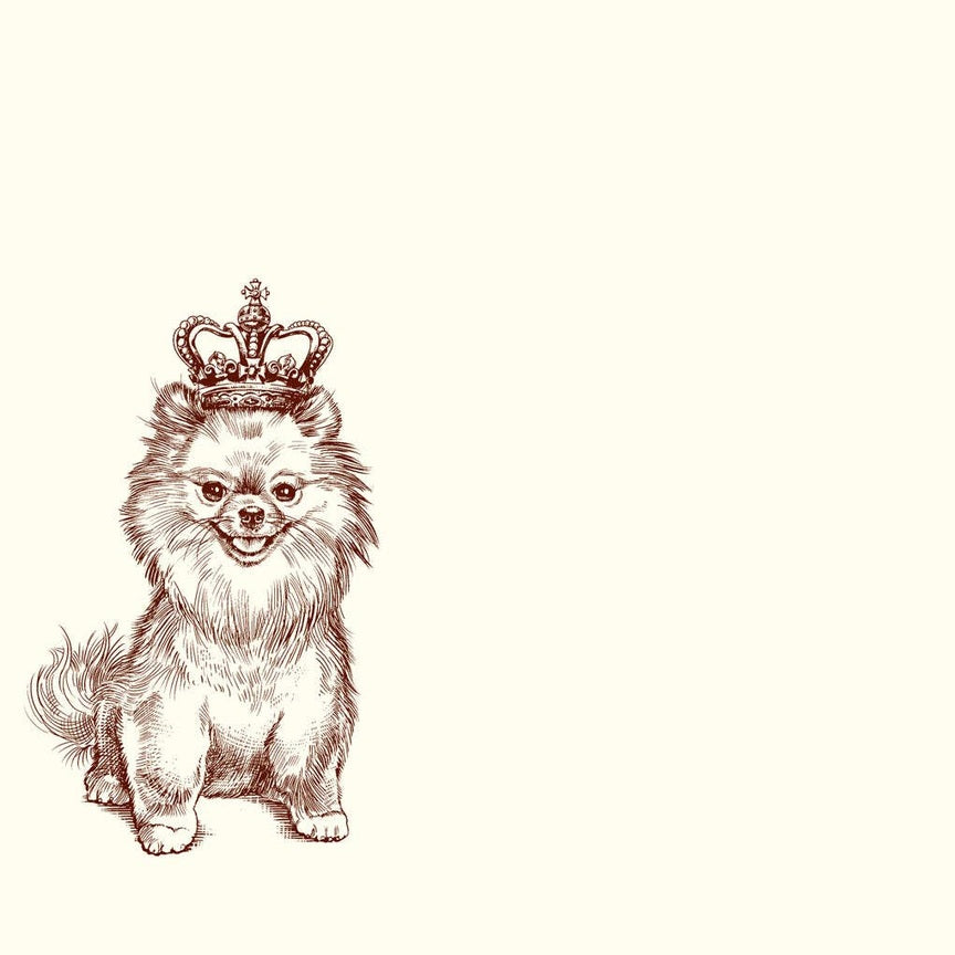 Royal Pomeranian A6 Notes
