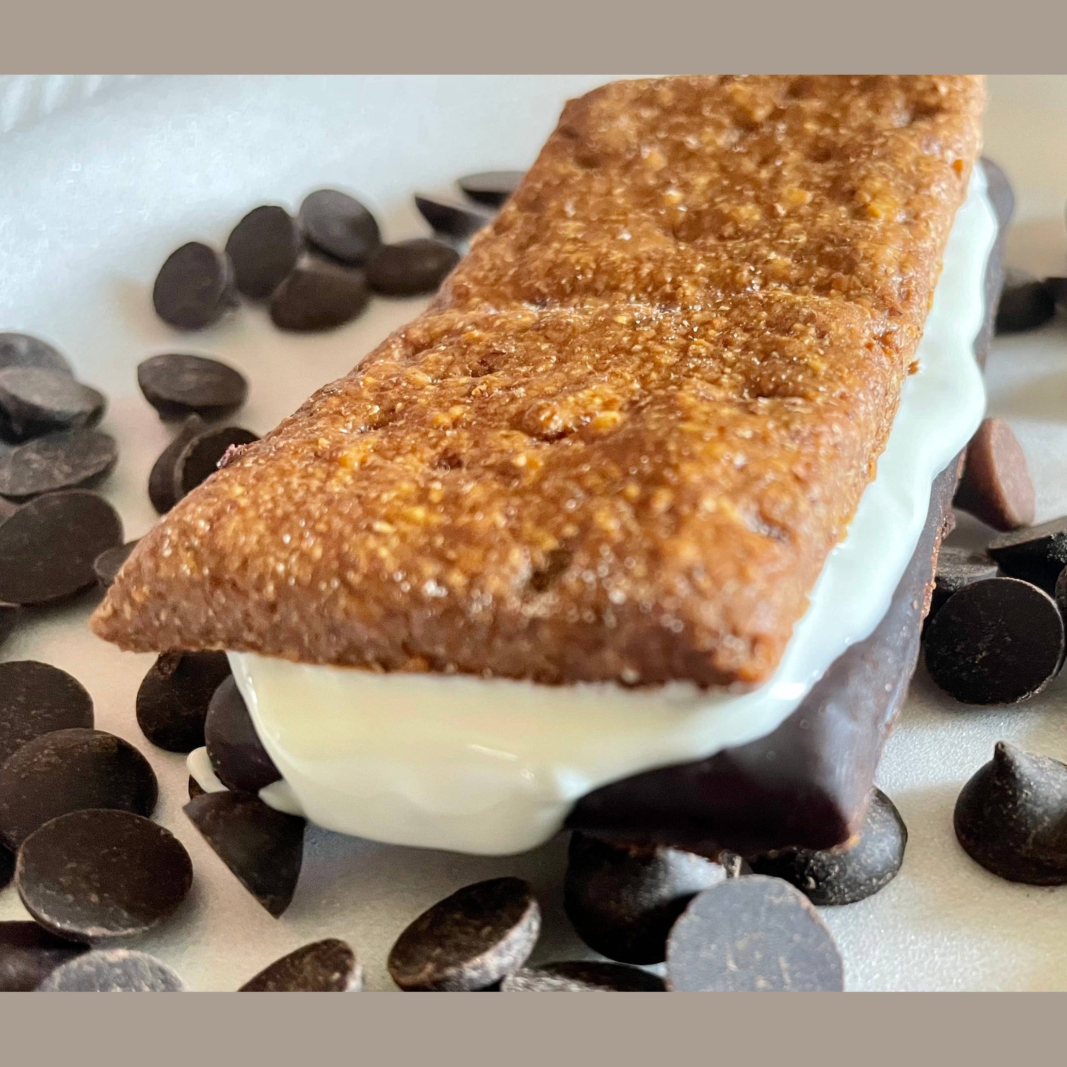 Campfire S’mores dog treats