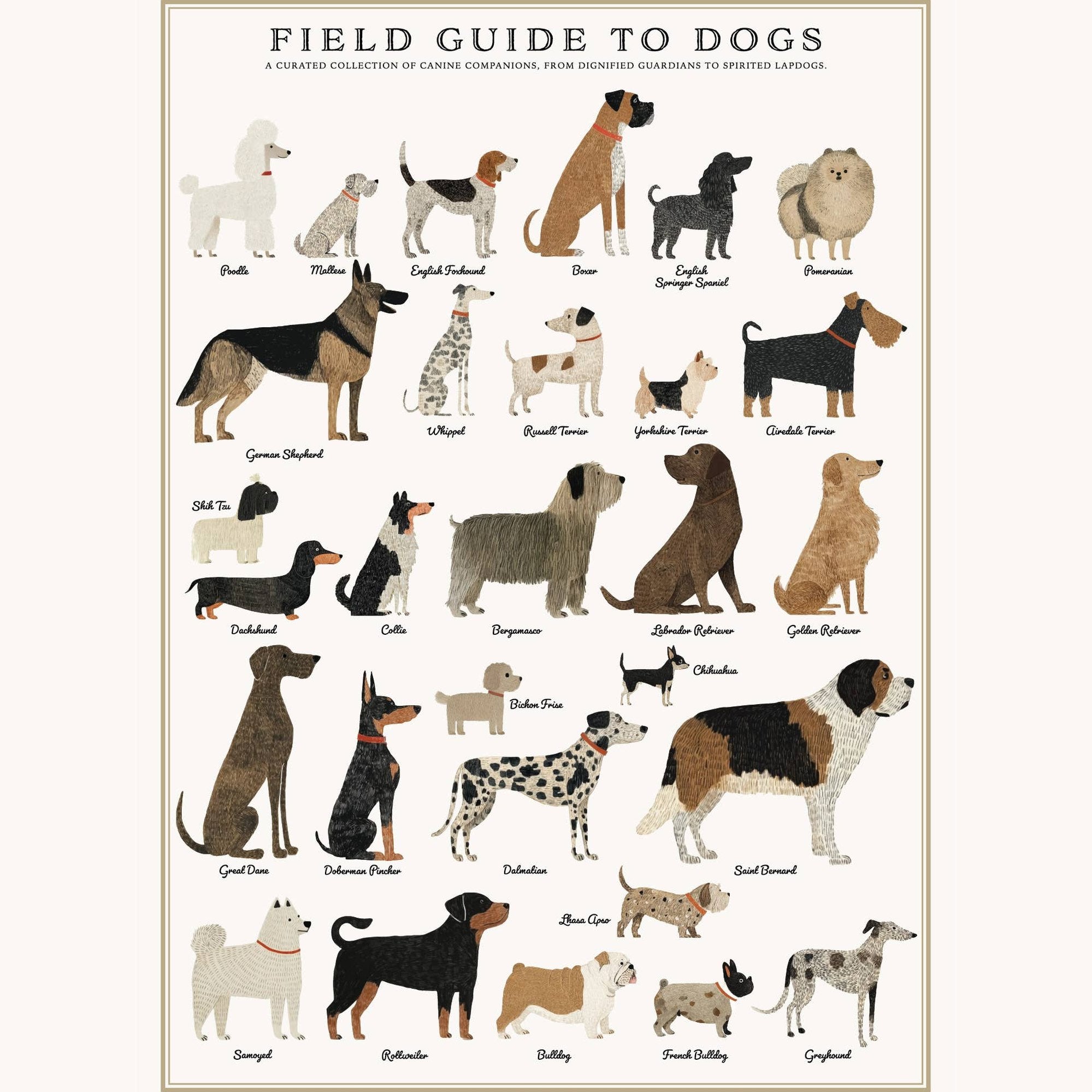 Dogs Puzzle – 500 Pc Tube with Vintage Illustrations