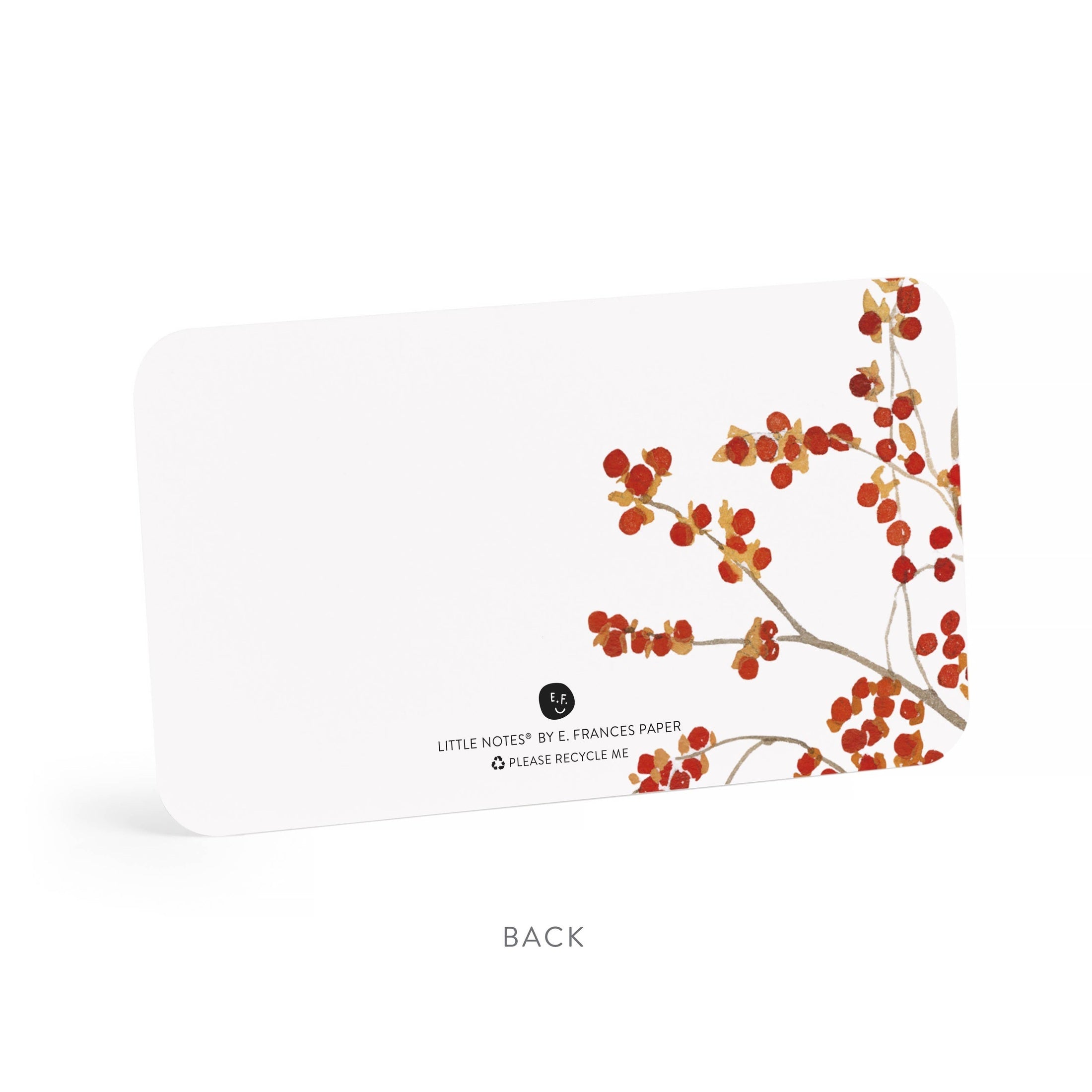Autumn Berry Pitcher Little Notes® – Notecards, Set of 55