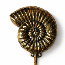 Load image into Gallery viewer, Brass Ammonite Fossil Wall Hook – Coastal Shell Hook, Beach House Bathroom Towel Hanger
