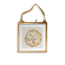 Load image into Gallery viewer, Sand Dollar
