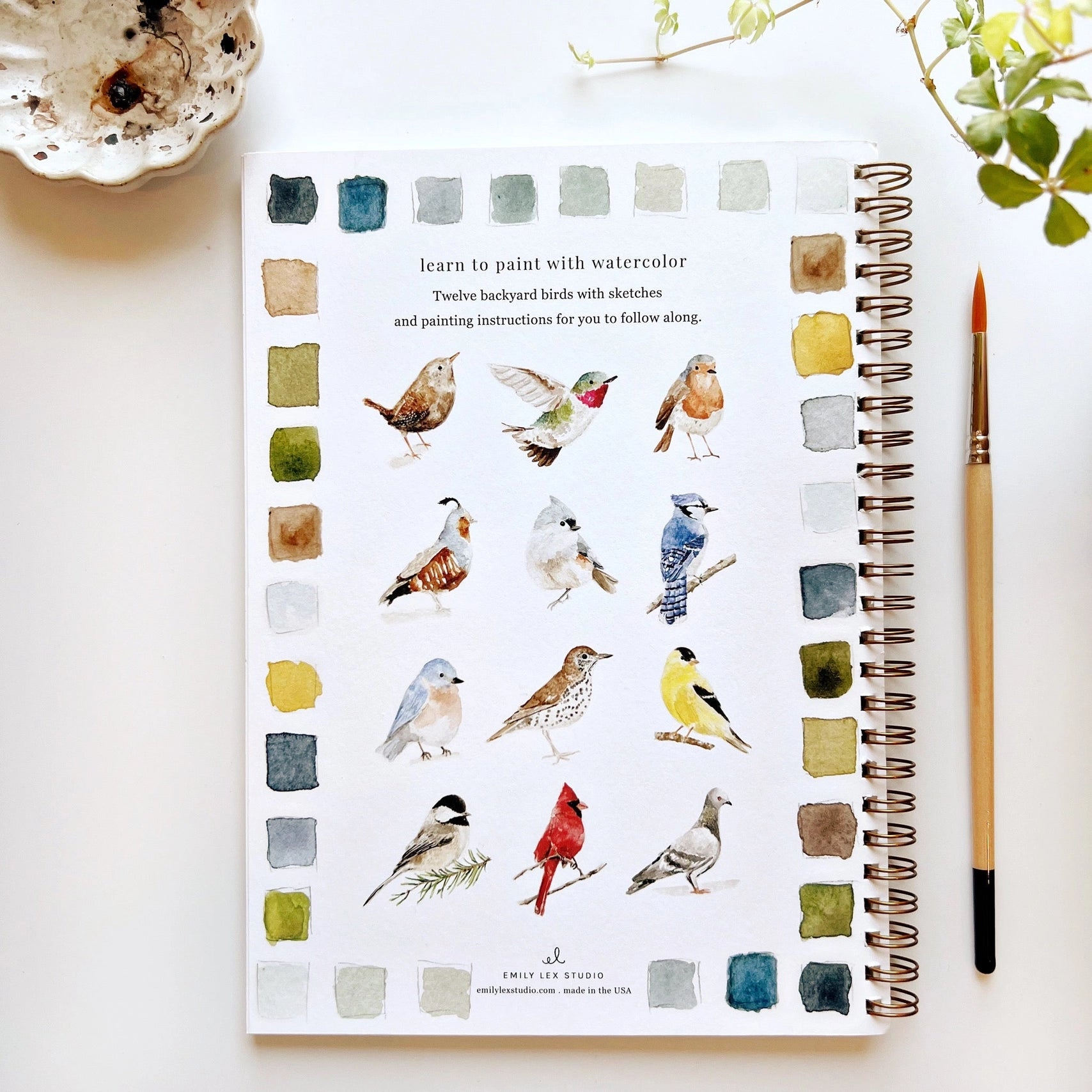 Watercolor Workbook - Birds