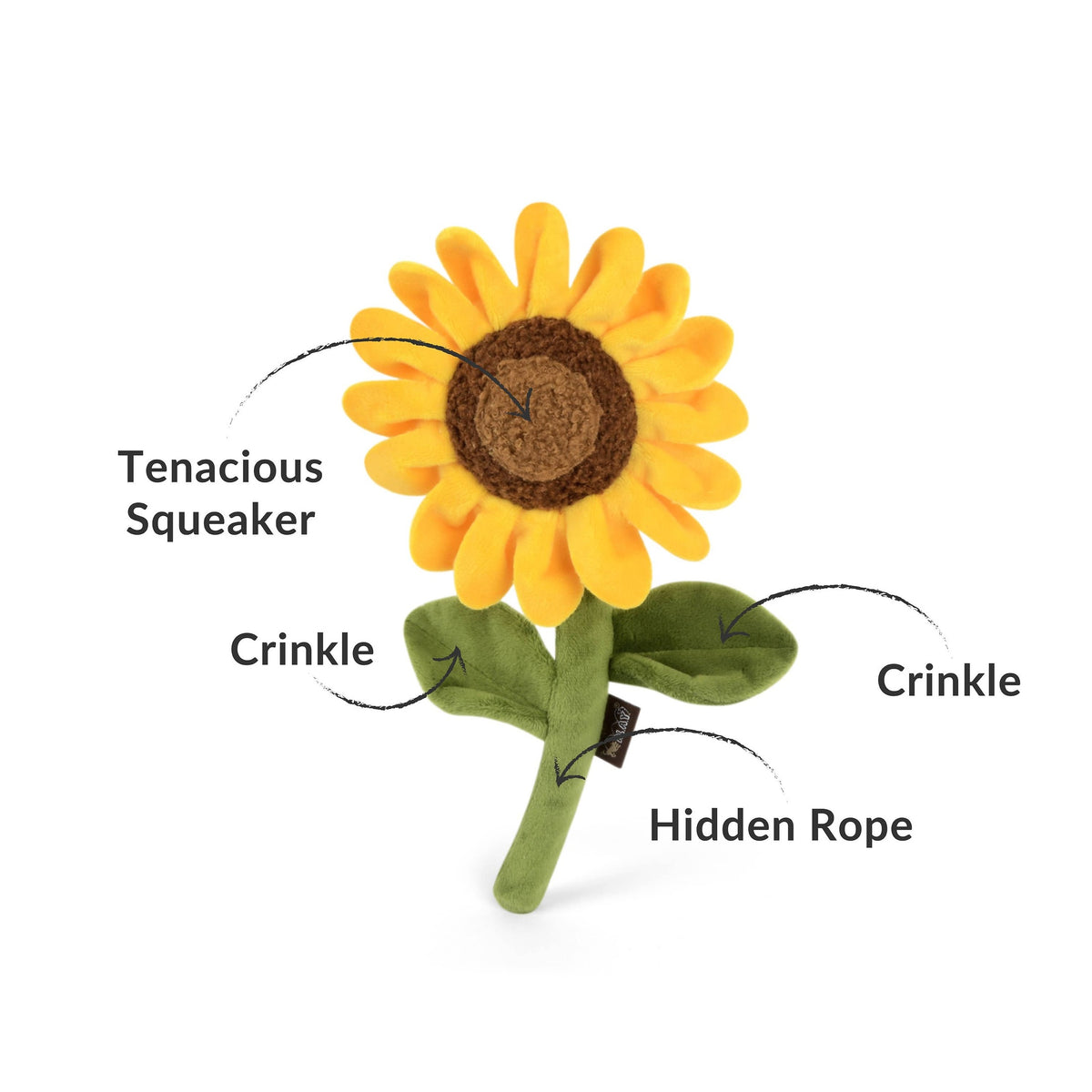 Blooming Buddies - Sassy Sunflower
